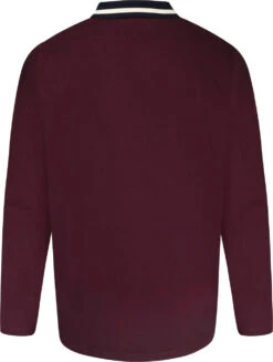 Grey Hawk TALL Long Sleeve Zip Neck Polo Shirt - Wine