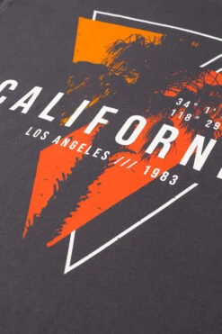 Kam California LA Graphic Print T-Shirt - Slate -Famous Menswear Store tumbnail 8fdf7e60 3744 48f3 8b7a ad785859d7d7