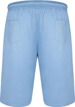 Uptheir Danver TALL Core Logo Shorts - Light Blue -Famous Menswear Store tumbnail b2a1b7af a3ab 4dae 8d1b 282911e42997