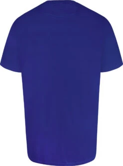 Uptheir Trent Two Crafted Print Crew Neck T-Shirt - Blue